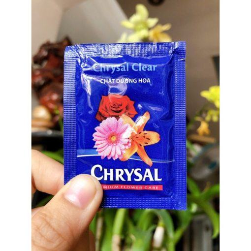 Dùng thuốc dưỡng đặc thù của hoa như Chrysal, Long life ( Pha loãng với 0,5l nước sạch)